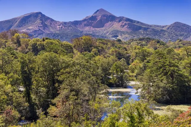 Nakasenuma Ponds Observation Area