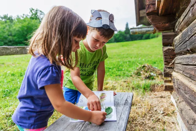 Pravljično tematska pot Začaran gozd Bled / Kids forest park Enchanted forest Bled