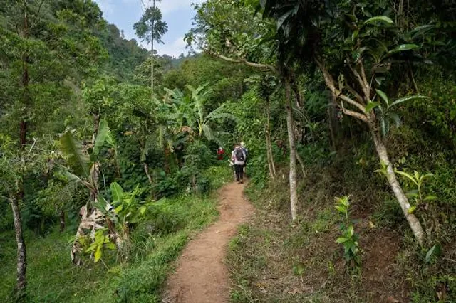 Inicio da trilha Cachoeira Do Urubu - Santo Amaro/BA