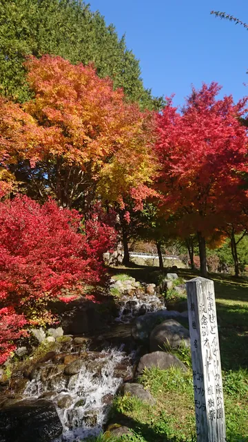 Yomase Dongurinomori Park