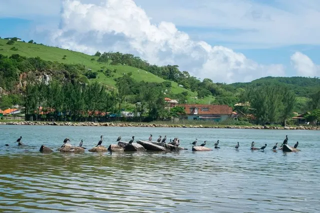 Molhes da Praia da Barra