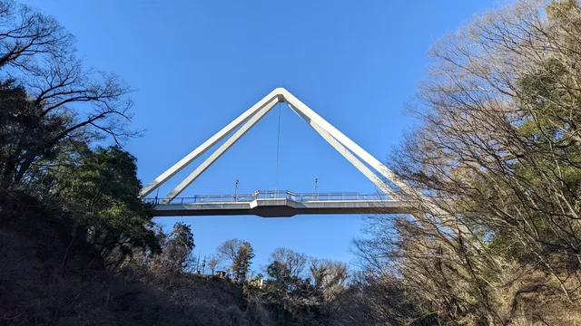 鱍瀧橋(はねたきばし)