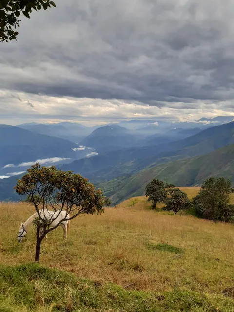 Mirador de Guayllanag