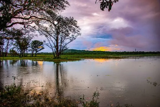 Habarana lake