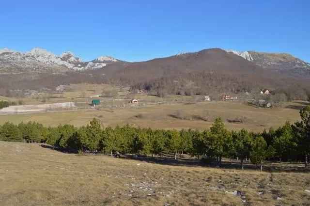 photo-2