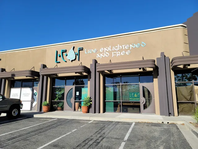 Leaf-Live Enlightened And Free