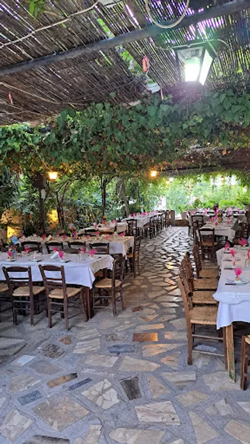 Kokoromitis Greek Tavern