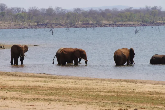Matusadona National Park