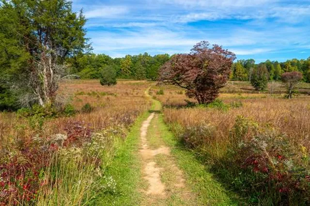 Spotsylvania Court House Battlefield