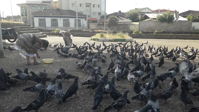 Aqa Seyyed Hossein Shrine