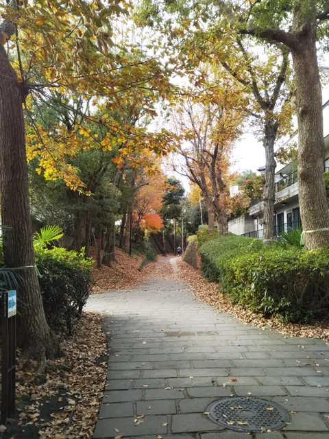 Mihanayamakarin Park