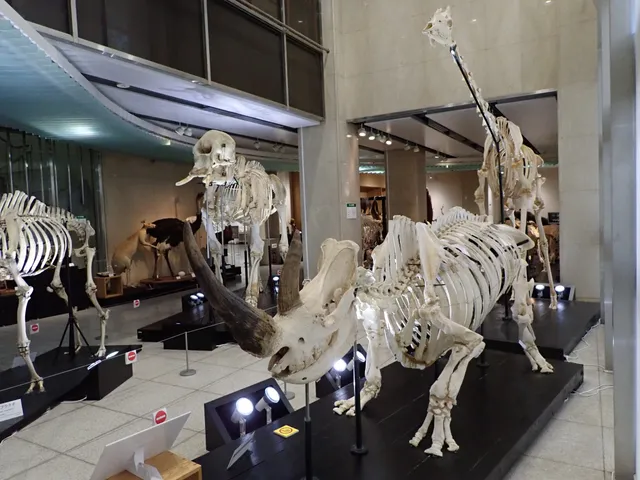 Nihon Univ. Bioresource Sciences College Museum