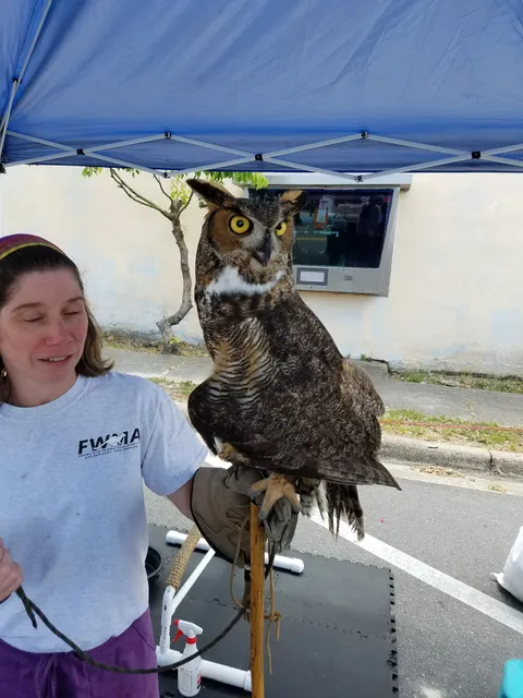 Rio Carrabelle Gallery