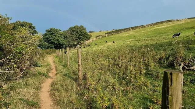 National Trust - Bideford Bay and Hartland
