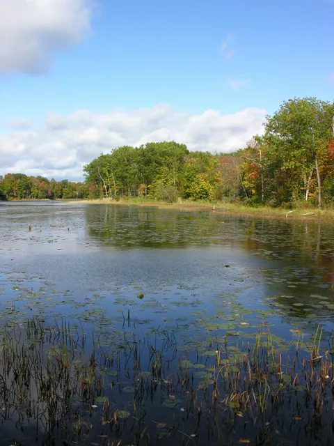 Terra Cotta Conservation Area