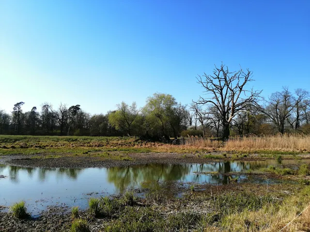 Nature reserve "Krajkowo"