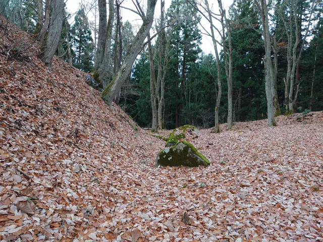 Kashiwagi Castle Remains