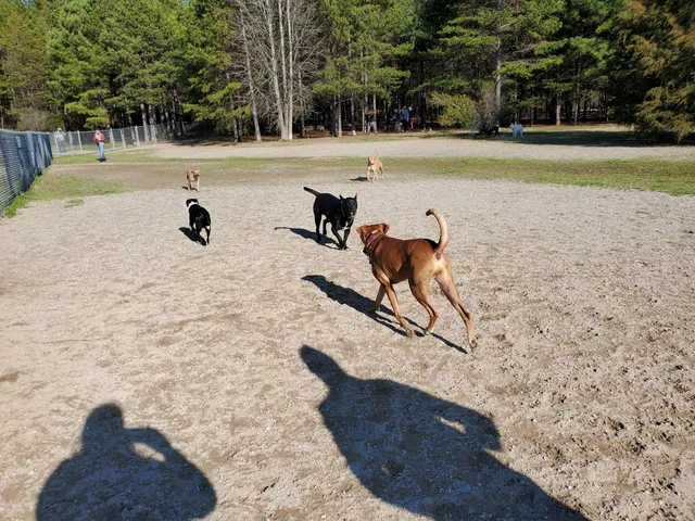 Shuffletown Dog Park