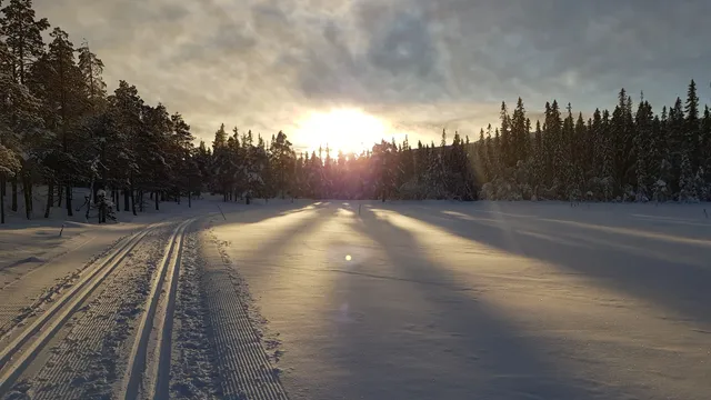Skidspåret Gubbmyren