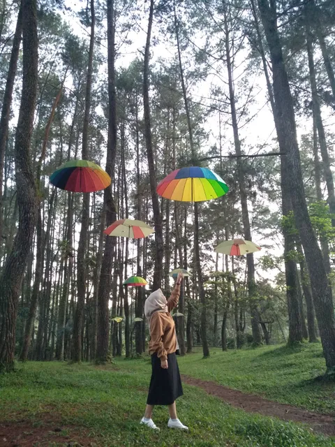 Pinus Ecopark Lampung