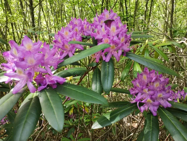 Marina River Ecotrail