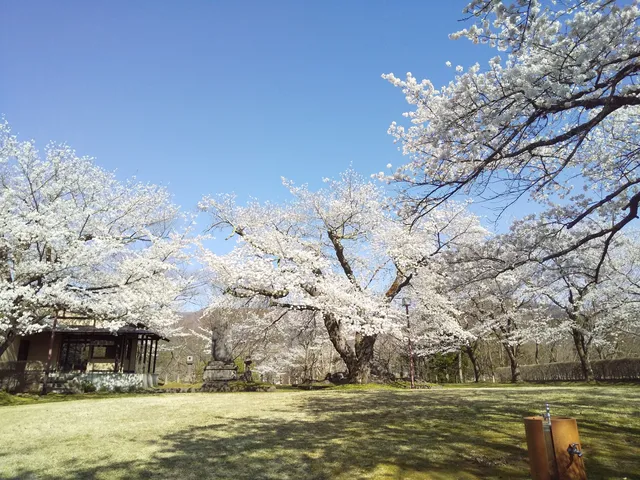 Sakurayamachiku Park