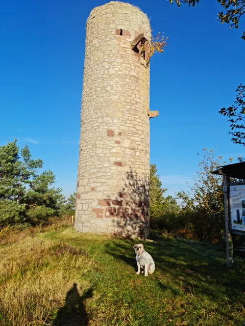 Heinturm