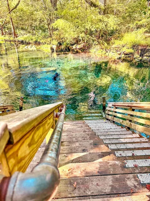 Wes Skiles Peacock Springs State Park