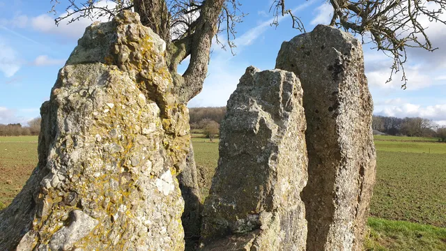 Menhirs d’Oppagne