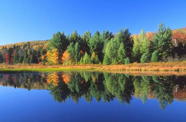 Savoy Mountain State Forest