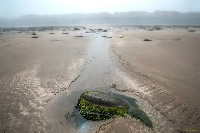 Northam Burrows Country Park