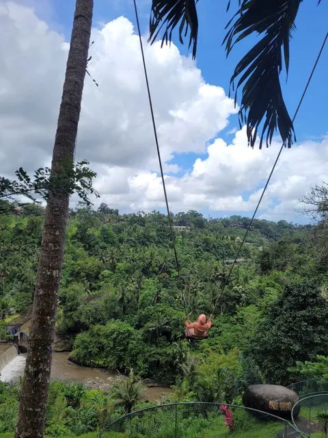 Real Bali Swing
