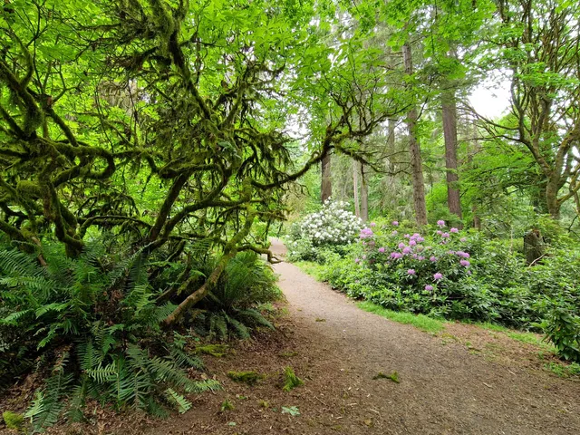 Rhododendron Garden