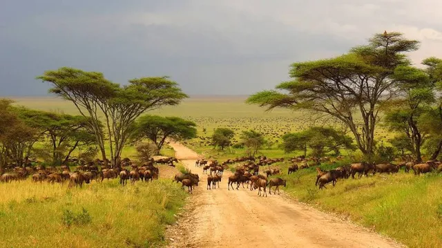 Serengeti National Park