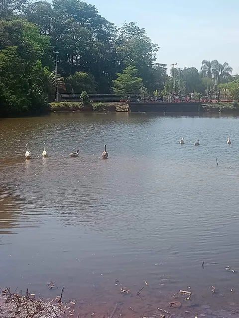 Ecological Park Cordovil Fonseca