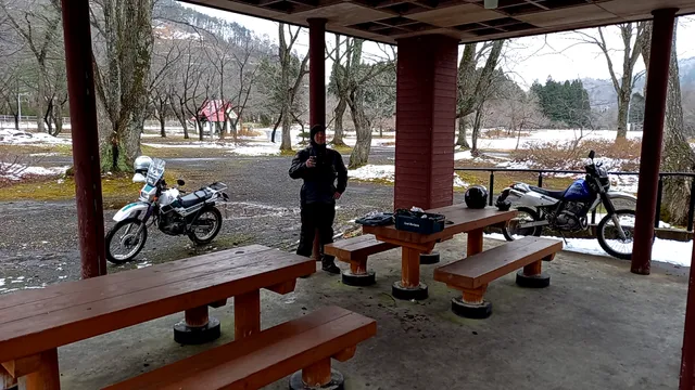 Forest park & Camping site.