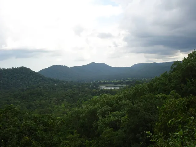 photo-3