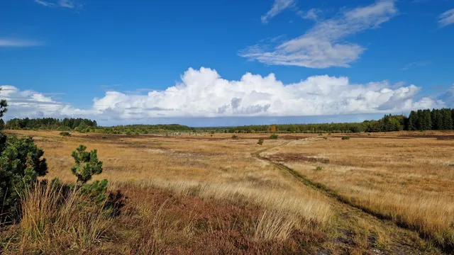 Ikast-Brande Municipality