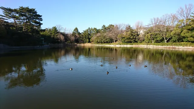 Nakanoike Pond