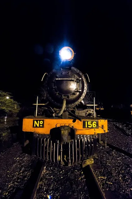 Royal Livingstone Express by Bushtracks