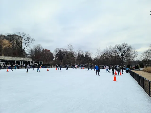 Steinberg Skating Rink