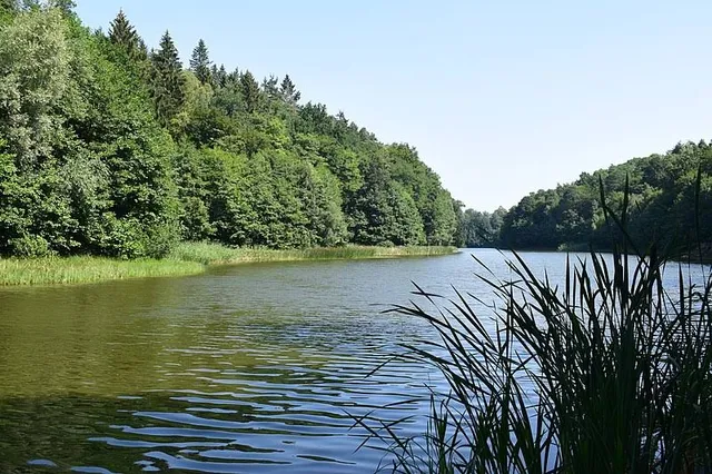 Mittelsee