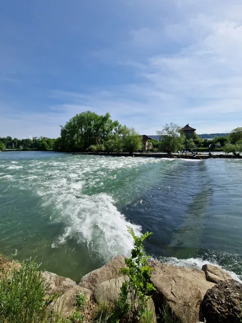 Flusswelle Bremgarten
