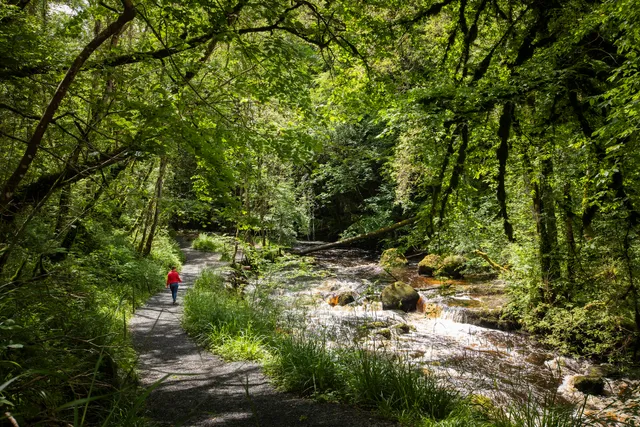 Cladagh Glen National Nature Reserve