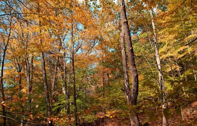 photo-1