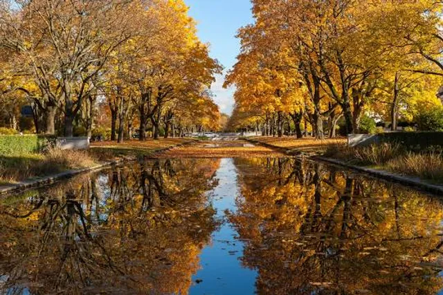 Museo Rautenstrauch-Joest