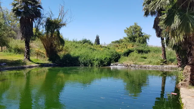 חלום עולמי- טיולי שטח RZR חוף פרטי על שפת הכנרת וספורט ימי