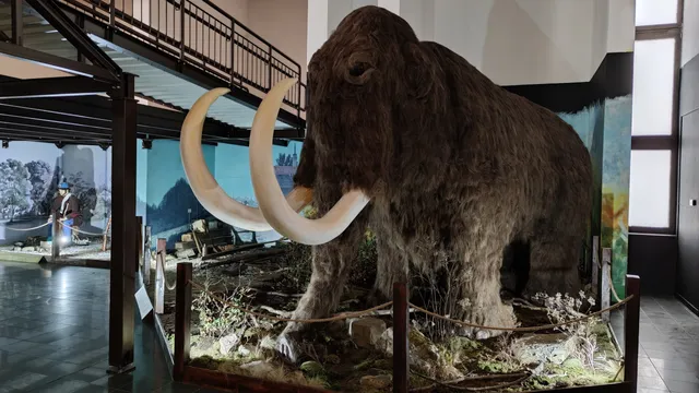 Vlastivedné múzeum v Krásne nad Kysucou