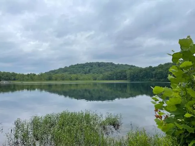 Yellowwood Lake