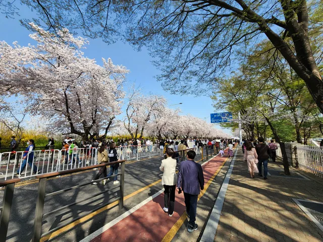 Yeouiseo-ro (Yoonjung-ro)